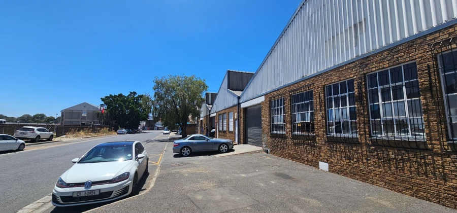 To Let commercial Property for Rent in Charleston Hill Western Cape